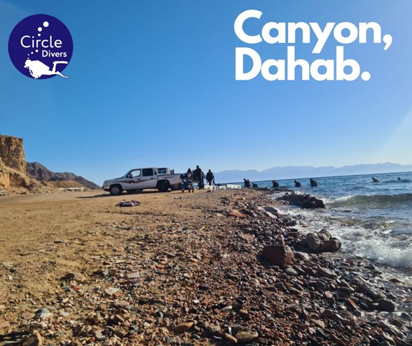 Wat maakt duiken in Dahab anders?
